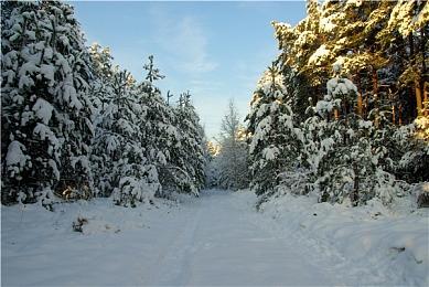 国外玩家不用剑7小时通关《塞尔达传说：时之笛》